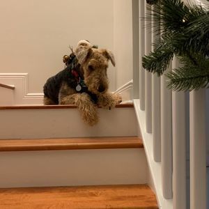 Meet your Posher, Susanne